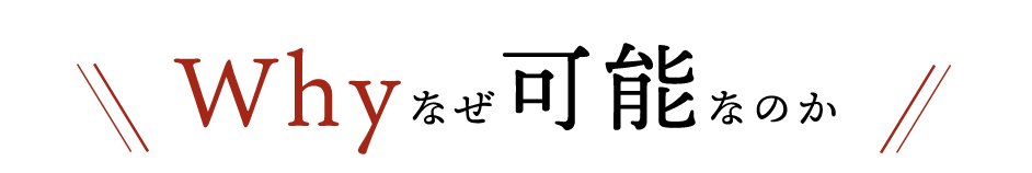 Why なぜ可能なのか